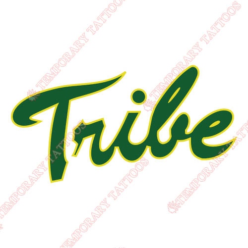 William and Mary Tribe Customize Temporary Tattoos Stickers NO.7005
